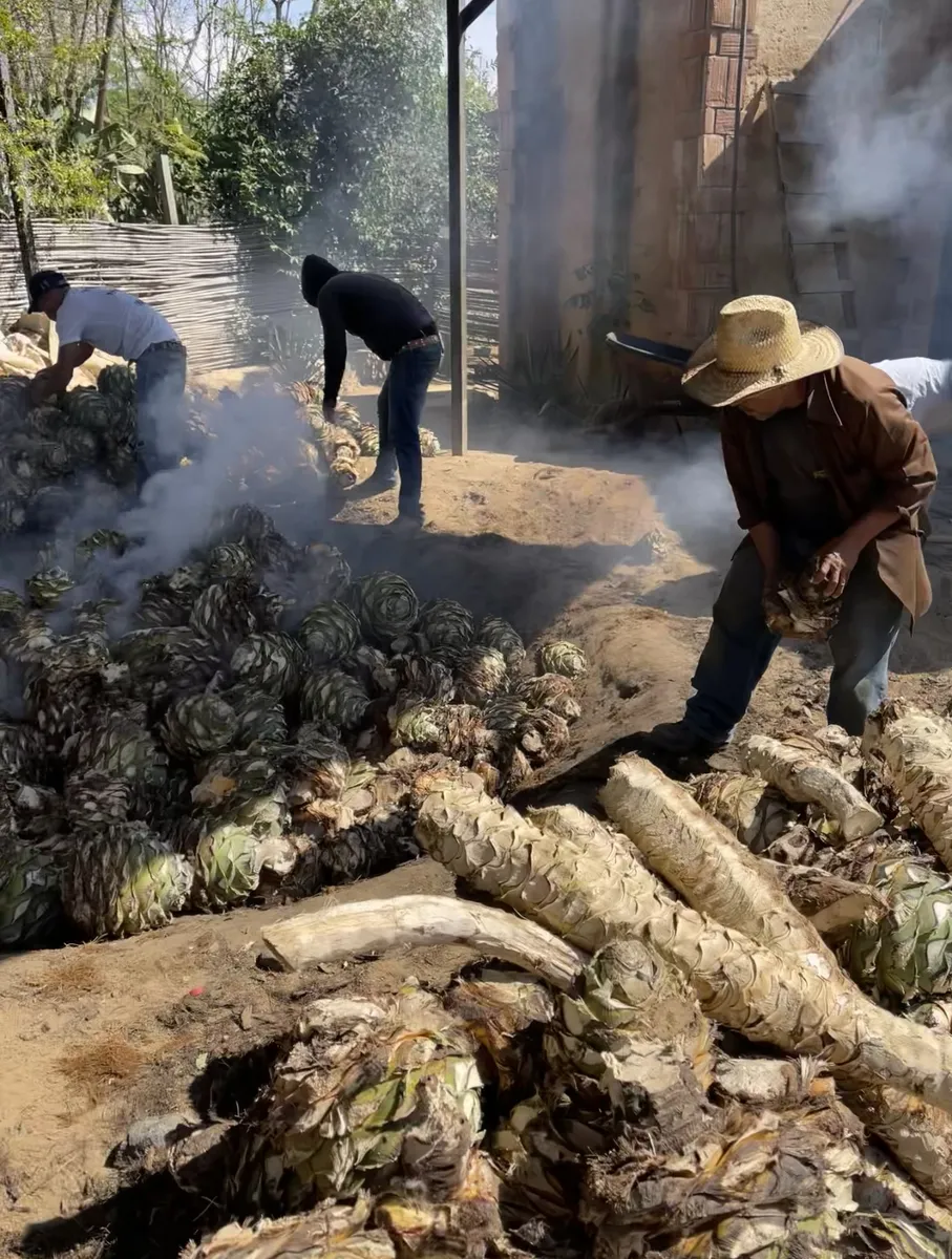 Nuestro Palenque, Santa Catarina Minas, Oaxaca